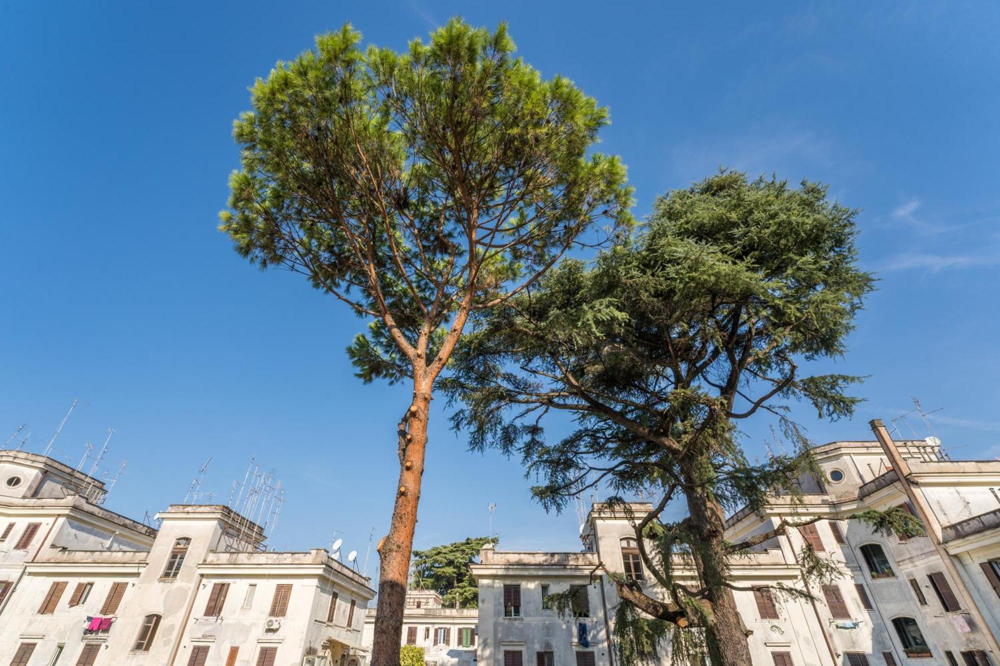 Fisher'S Apartment In Testaccio Rome Luaran gambar